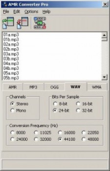 AMR Converter Pro - náhled