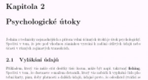 Bezpečnost v digitálním věku - náhled