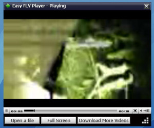 Easy FLV Player - náhled