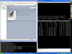 Cooperative Linux - náhled