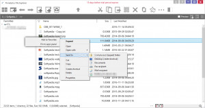 Finnalytics File Explorer - náhled