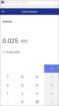 BitPay - náhled