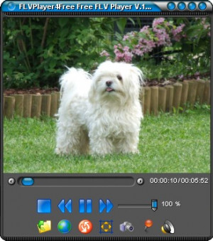 FLVPlayer4Free - náhled