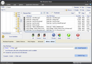 File Renamer Basic - náhled