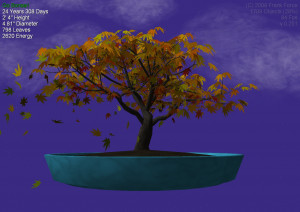 Go Bonsai - náhled