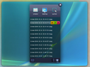 Ticno Screenshoter - náhled