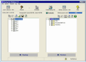 IBackup for Windows - náhled