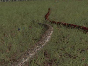 SnakeWorld - náhled