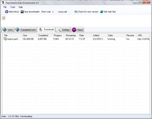 Rapidshare Auto Downloader - náhled