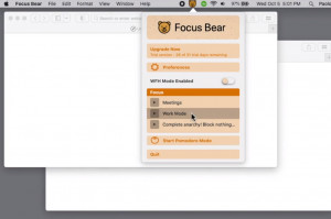 Focus Bear - náhled