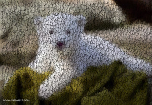Mosaizer Pro - náhled
