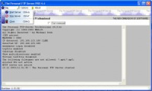 The Personal FTP Server - náhled