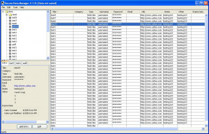 Secure Data Manager - náhled