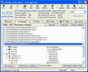 dfg BackUp XP - náhled
