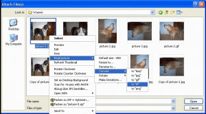 Edit Digi Pictures - náhled