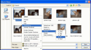 Edit Digi Pictures - náhled