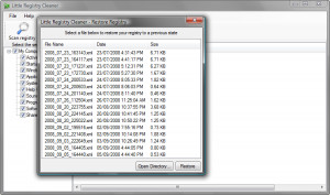 Little Registry Cleaner - náhled