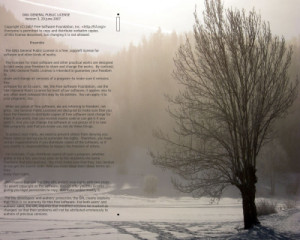 KoalaWriter - náhled
