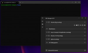 WSL Distro Manager - náhled