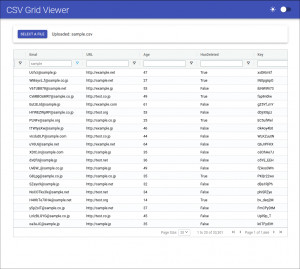 CSV Grid Viewer - náhled