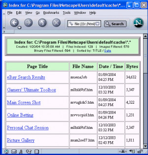 Web Cache Illuminator - náhled