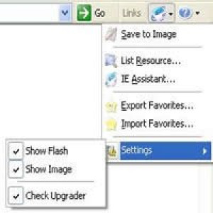 IE Assistant - náhled