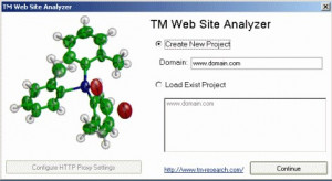 TM Google Site Analyzer - náhled