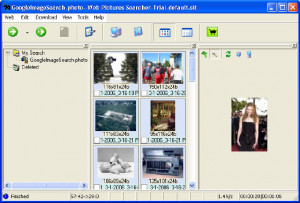 Web Pictures Searcher - náhled