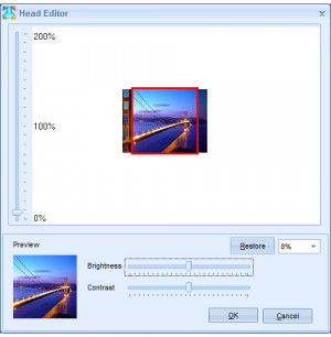 MSN Slide Max - náhled