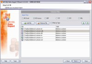 EMS MS SQL Data Import - náhled