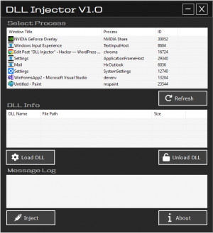 DLL Injector - náhled