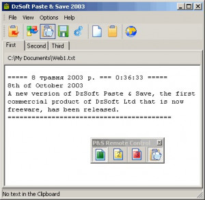 DzSoft Paste & Save - náhled