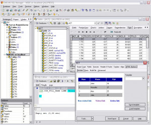EMS MS SQL Manager - náhled