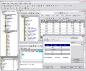 EMS MS SQL Manager - náhled