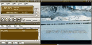 Total Video Player - náhled