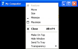 XNeat Windows Manager - náhled