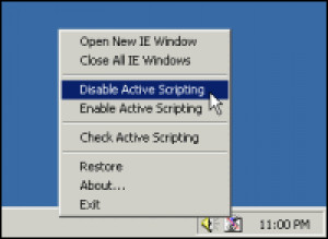 Active Scripting Fast Disable - náhled