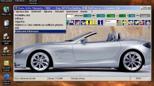 Data Info Memory - náhled