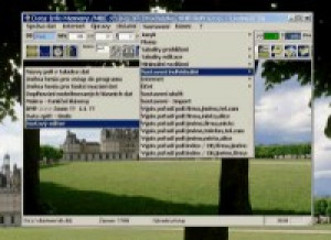 Data Info Memory - náhled