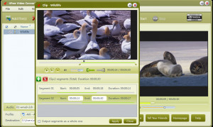 4Free Video Converter - náhled