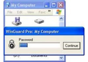 WinGuard Pro 2003 - náhled