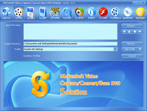 McFunSoft Video Capture - náhled