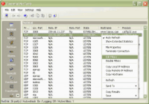 Essential NetTools - náhled