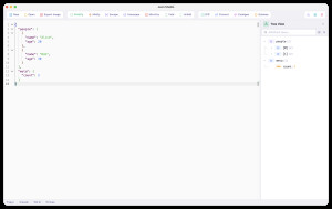 JsonStudio - náhled