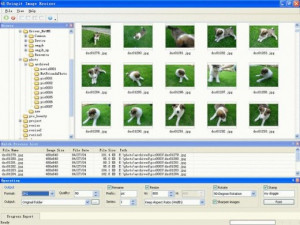 Usingit Image Resizer - náhled