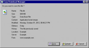 Easy Download Manager - náhled