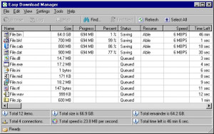Easy Download Manager - náhled