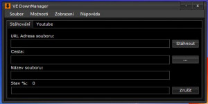 VE DownManager - náhled