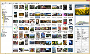 Hornil Photo Viewer  - náhled