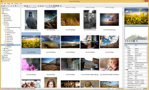 Hornil Photo Viewer  - náhled